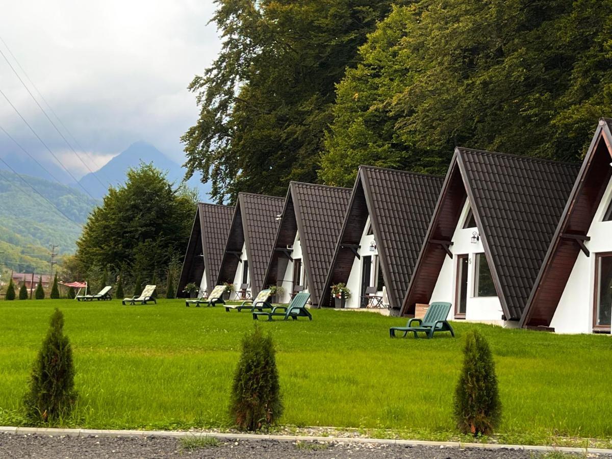 Hotel Casutele De Sub Padure à Avrig Extérieur photo